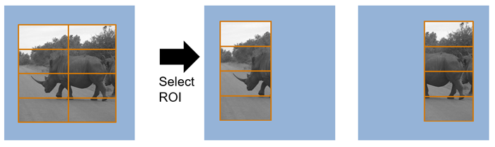 Eight tiled regions returned as two pixel streams that each contain four vertically-aligned regions.