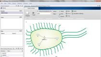 Mathematical modeling is an indispensable component of synthetic biology, and the iGEM competition. Modeling and simulation enables synthetic biologists to test the feasibility of their designs prior to fabrication, thus cutting down on trial and err